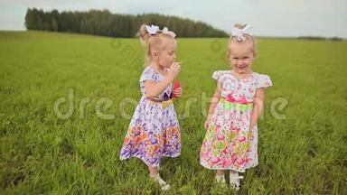 夏天，两个迷人的小双胞胎姐妹在绿色的草地上吹肥皂泡。